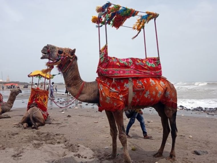 Somnath Beach-3